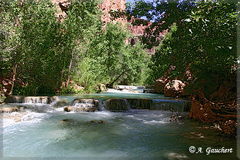 Terrassen im Havasu Creek